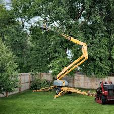 Best Commercial Tree Services  in North Lakeport, CA