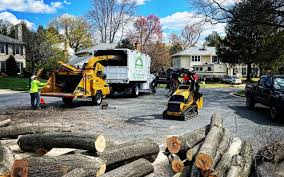 North Lakeport, CA  Tree Services Company