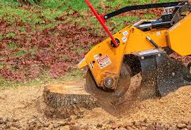 Best Tree Mulching Services  in North Lakeport, CA